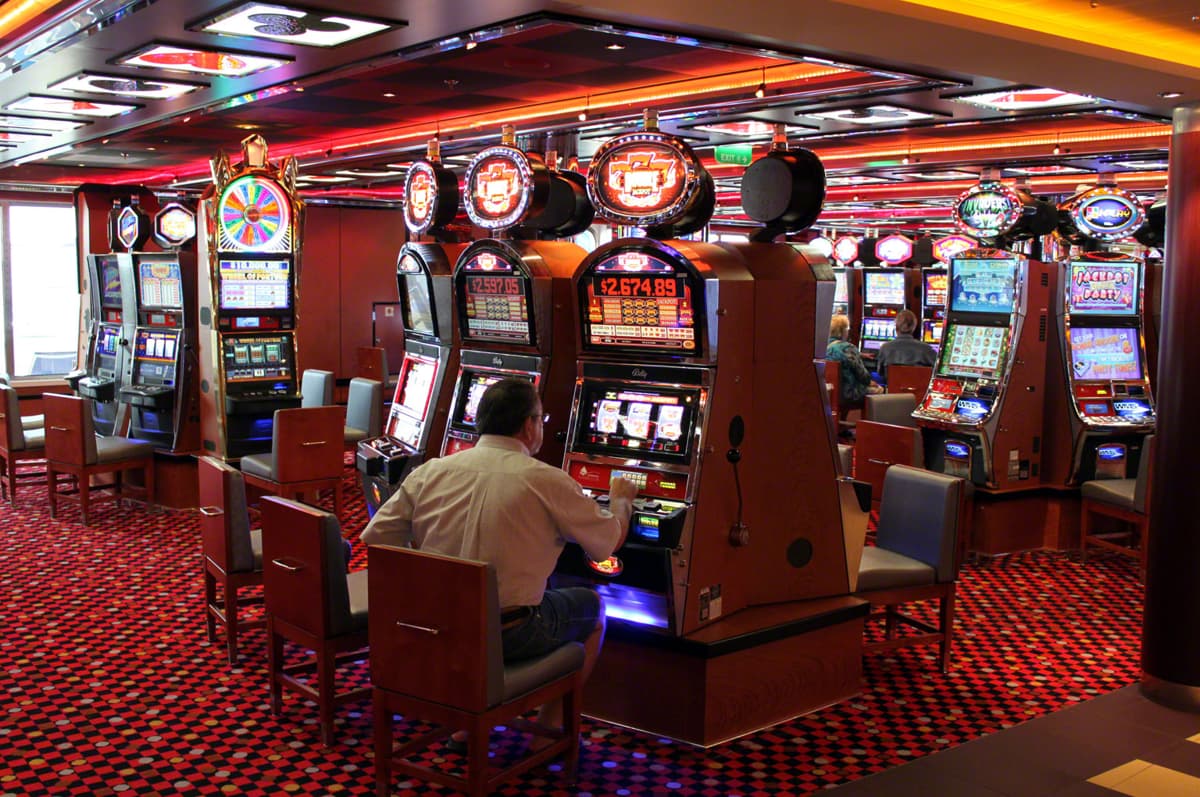 le : cabine 65