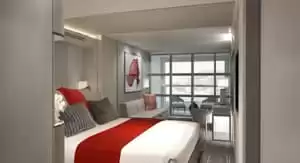 Miniature