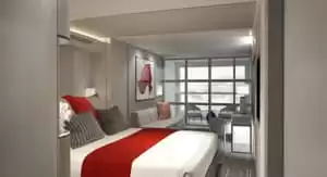 Miniature