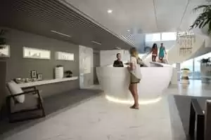 Miniature