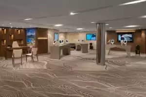 Miniature