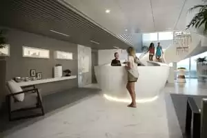 Miniature