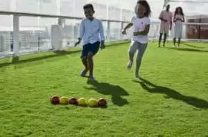 Miniature