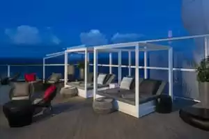 Miniature