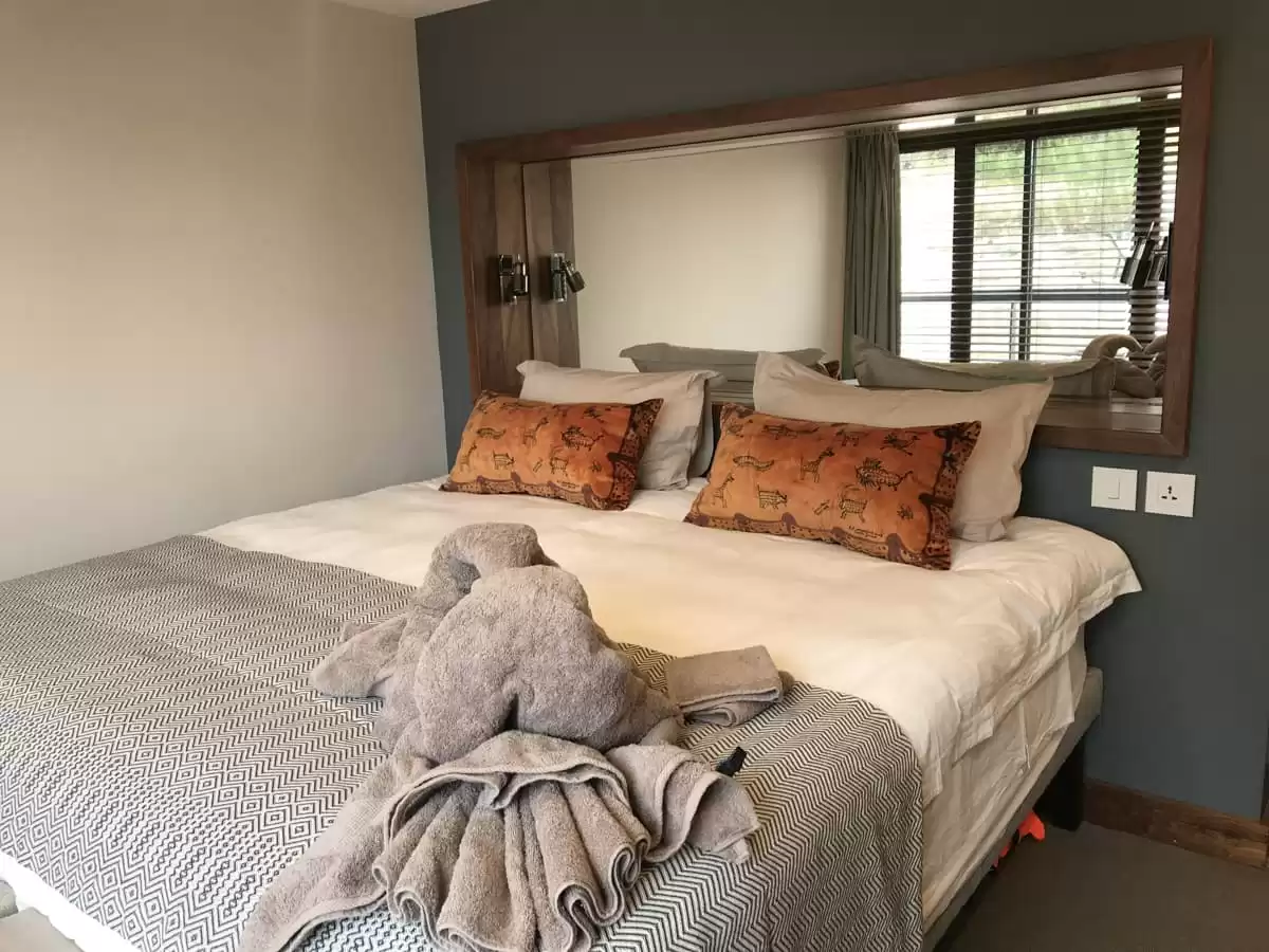 le African Dream :   5