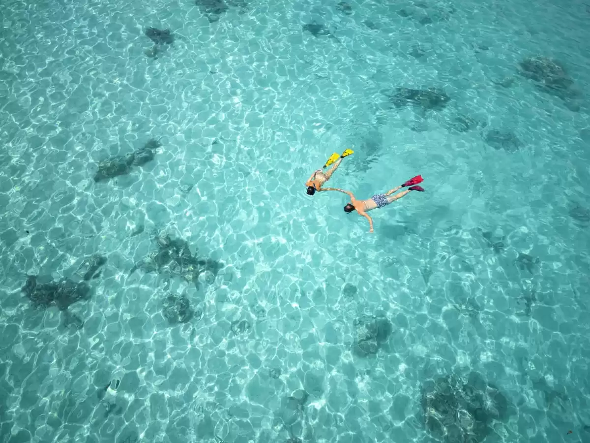 le Paul Gauguin :  cabine 3