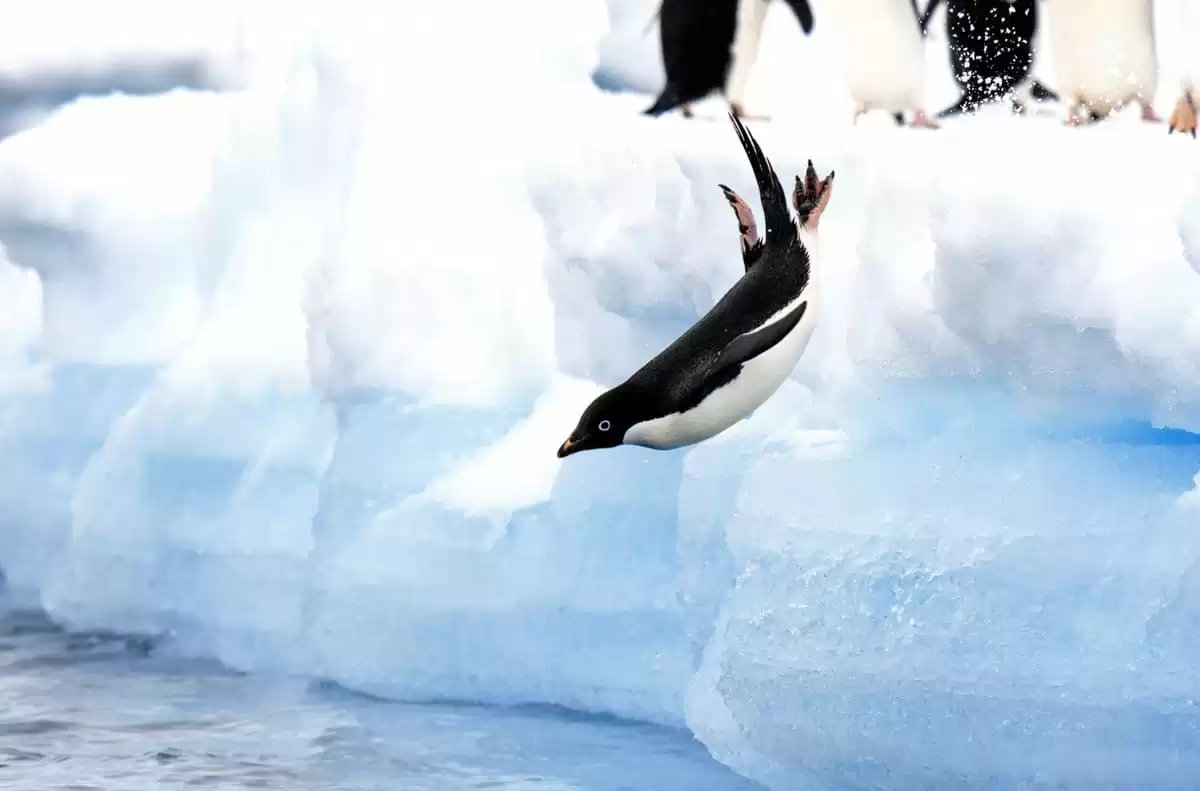 le Le Commandant Charcot :  cabine 6