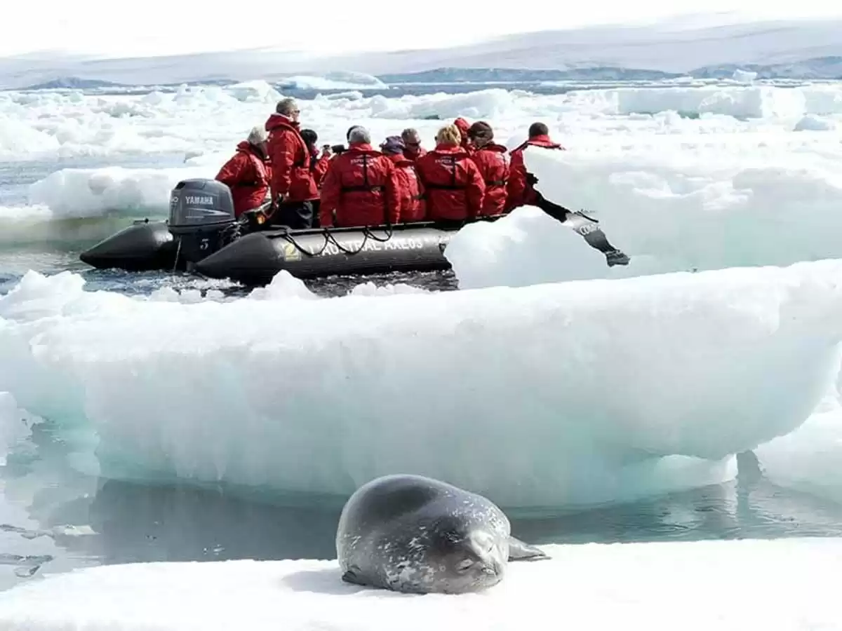 le Le Commandant Charcot :  cabine 51