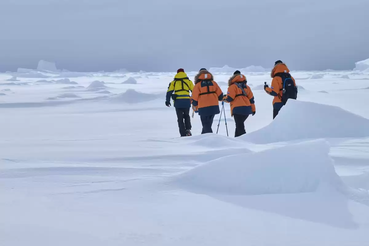 le Le Commandant Charcot :  cabine 67