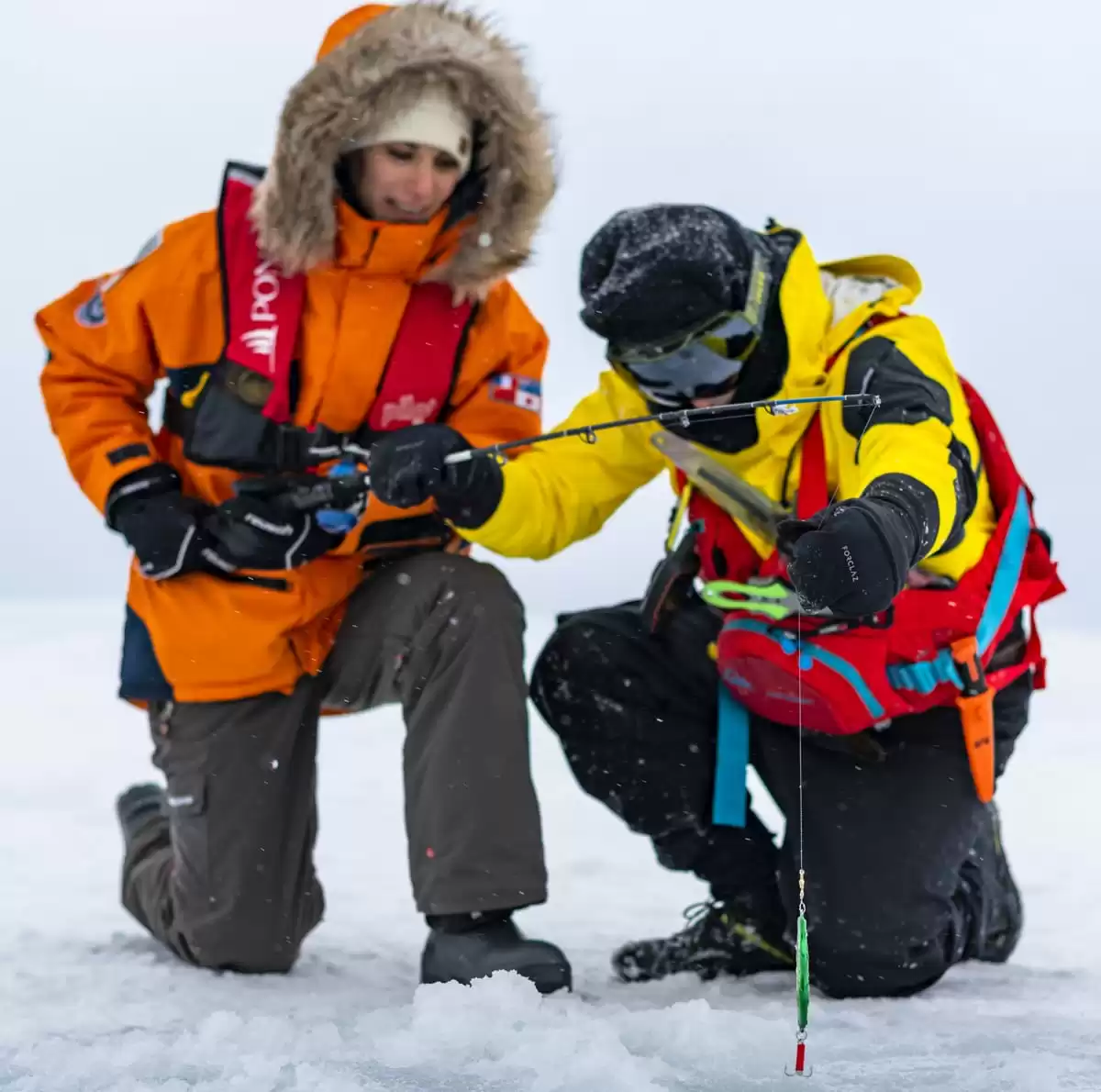 le Le Commandant Charcot :  cabine 72