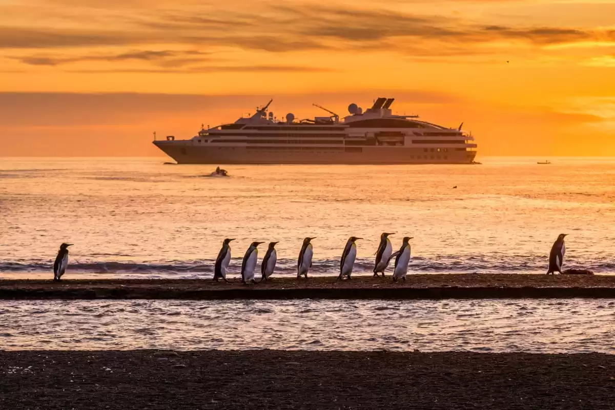 le Le Dumont d Urville :  cabine 32