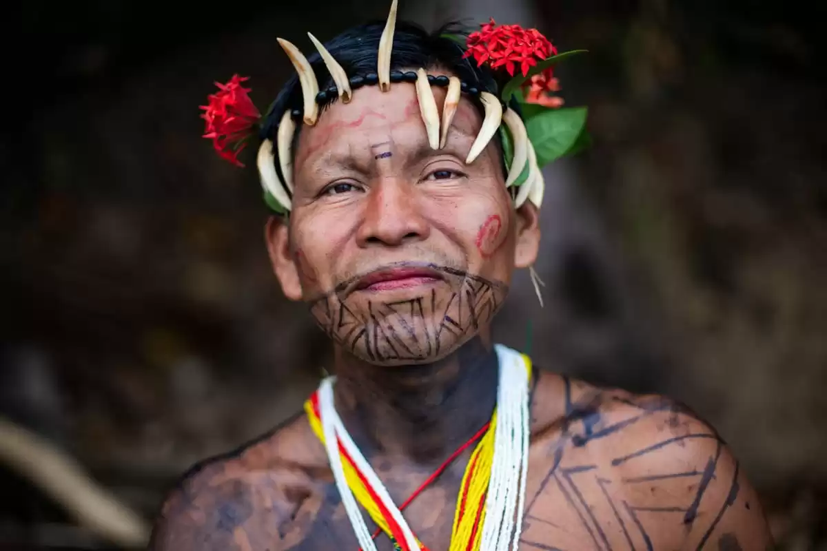 le Le Dumont d Urville :  cabine 33