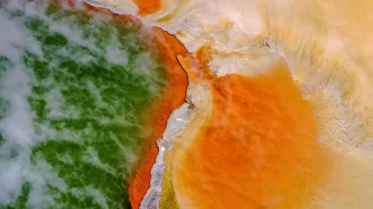 le Le Dumont d Urville :  cabine 34