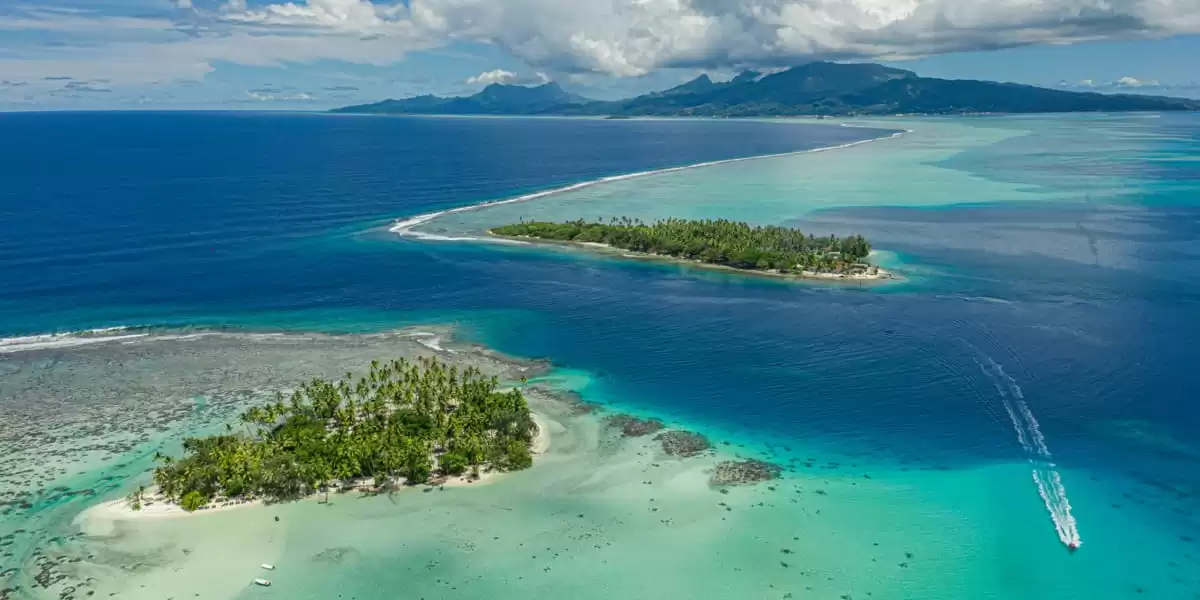 le Le Dumont d Urville :  cabine 38