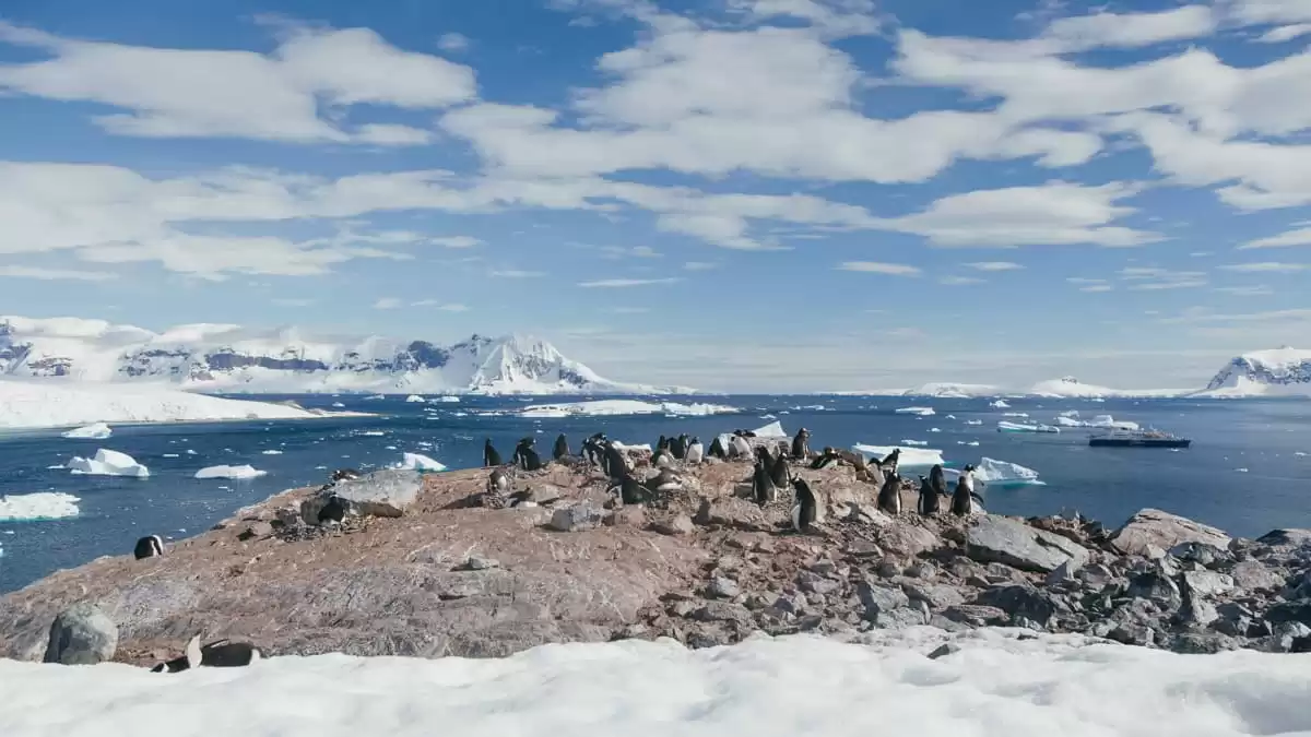 le Ultramarine :  cabine 0