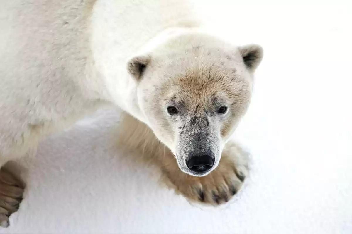 le Ultramarine :  cabine 1