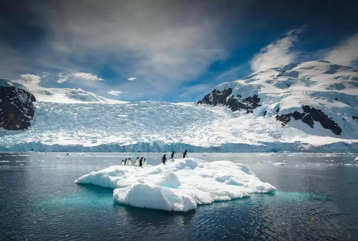 le Ultramarine :  cabine 4