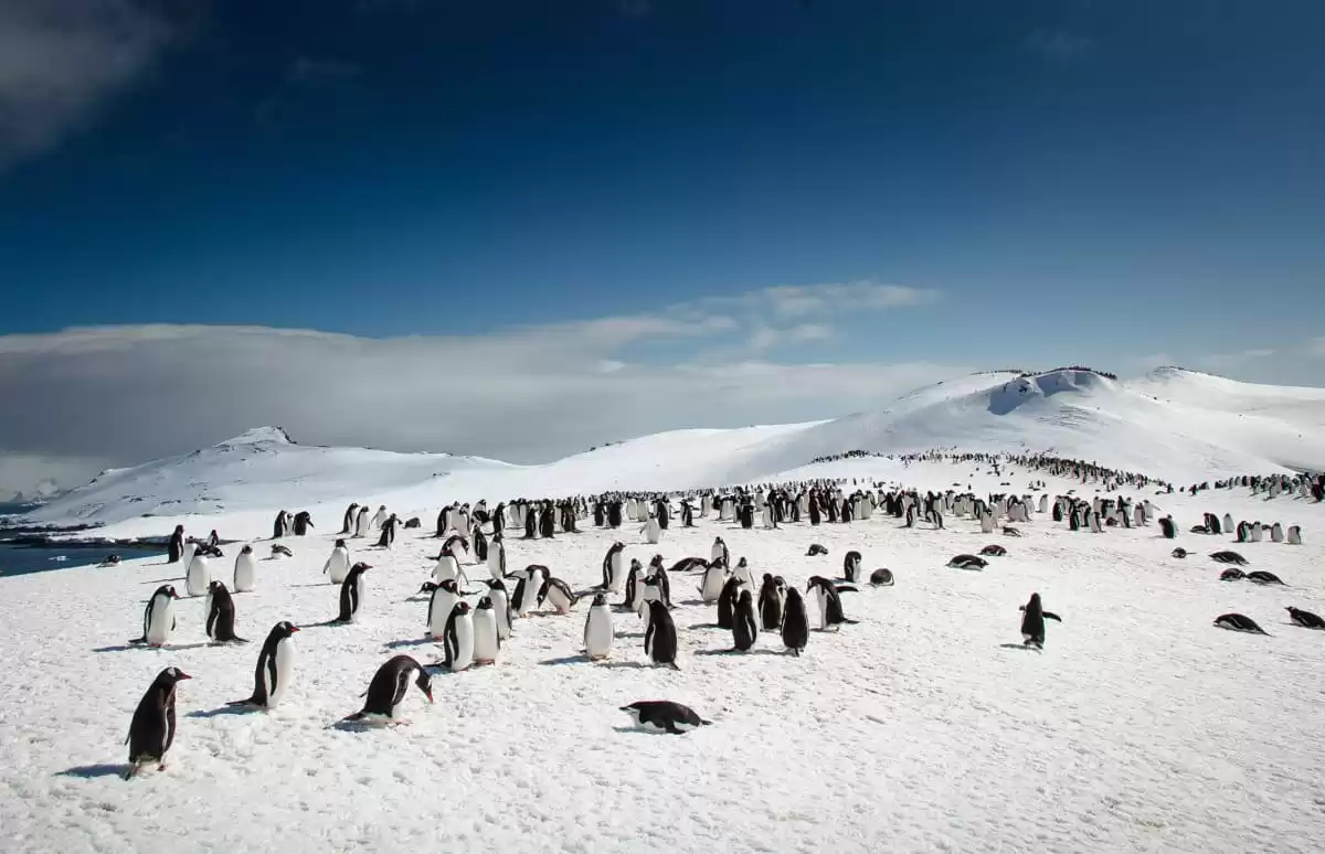 le Ultramarine :  cabine 8