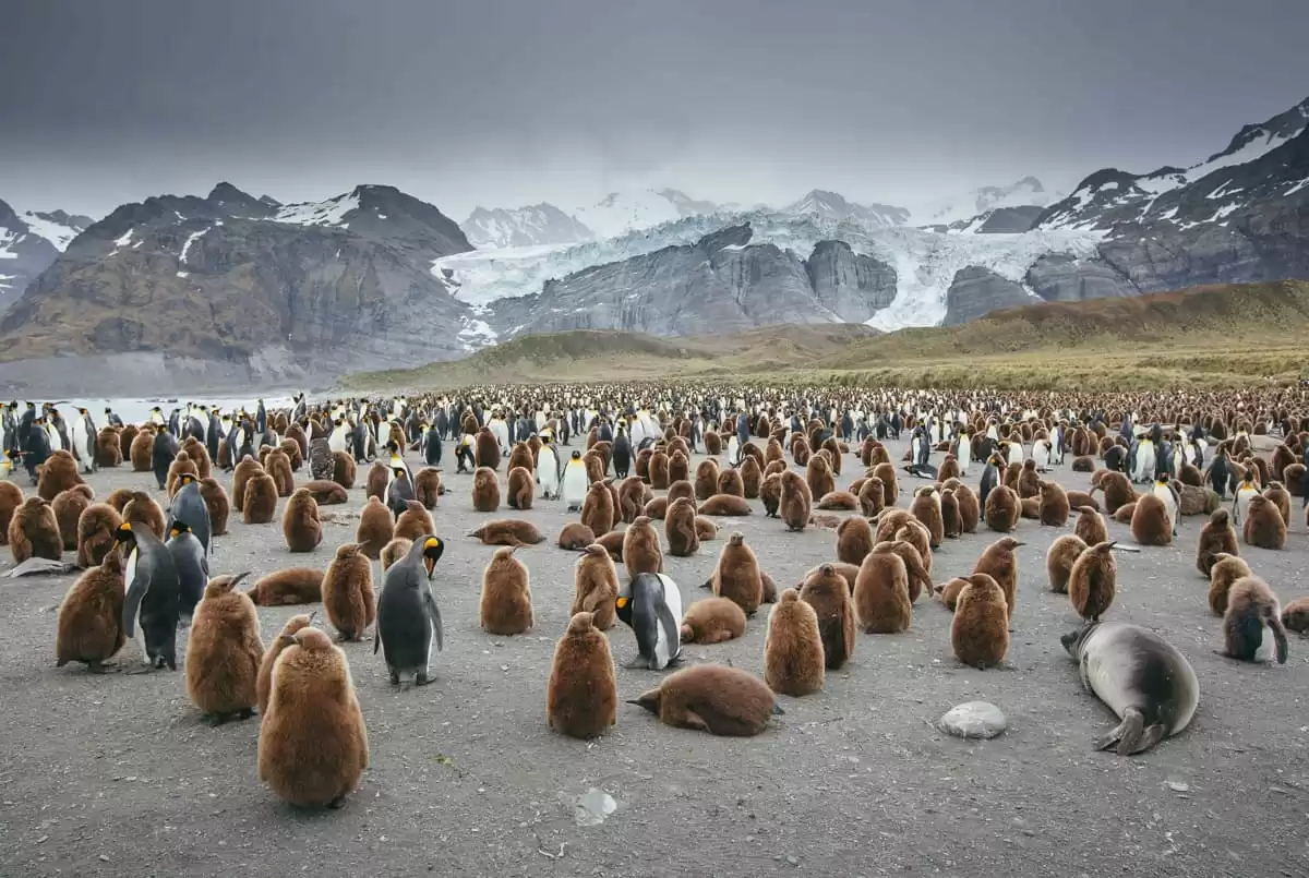 le Ultramarine :  cabine 11