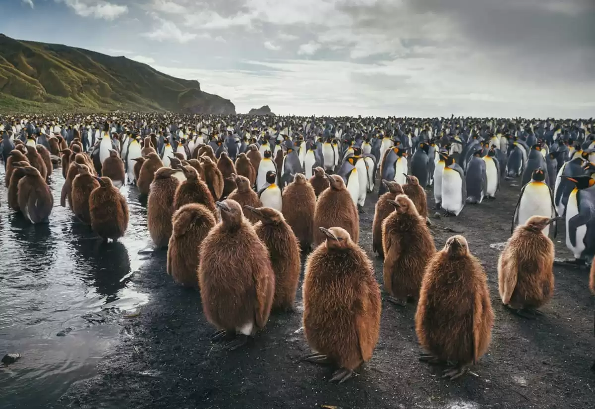 le Ultramarine :  cabine 16