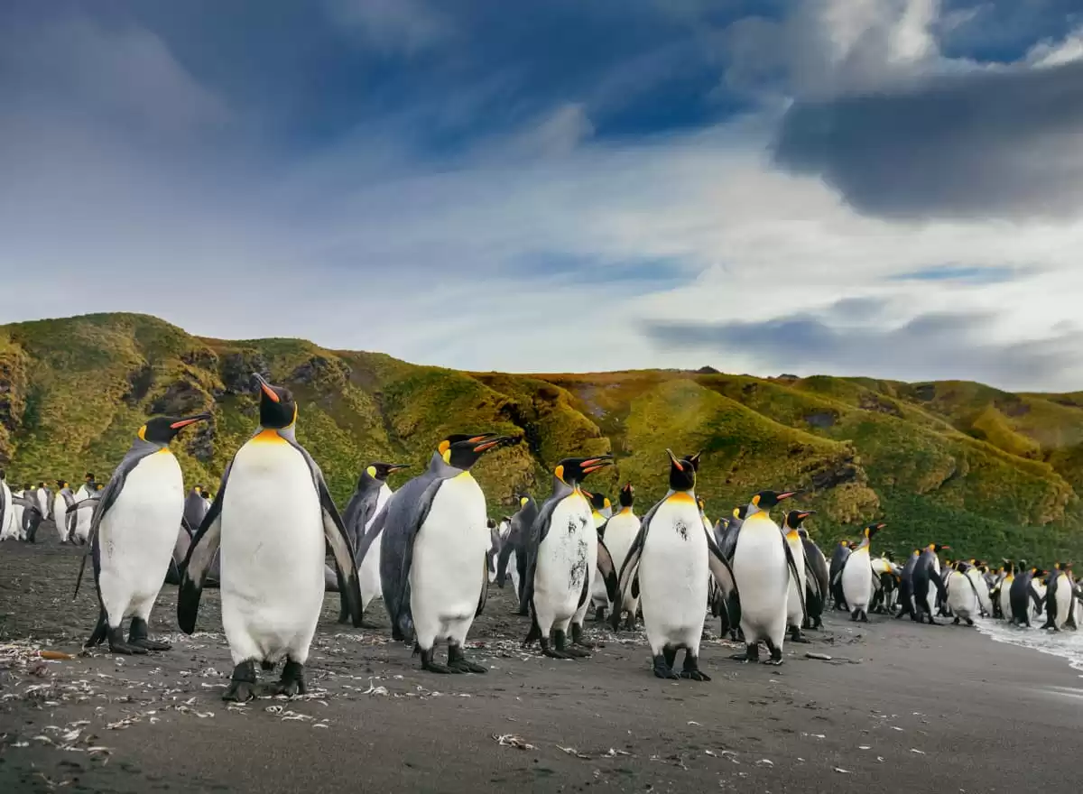 le Ultramarine :  cabine 25