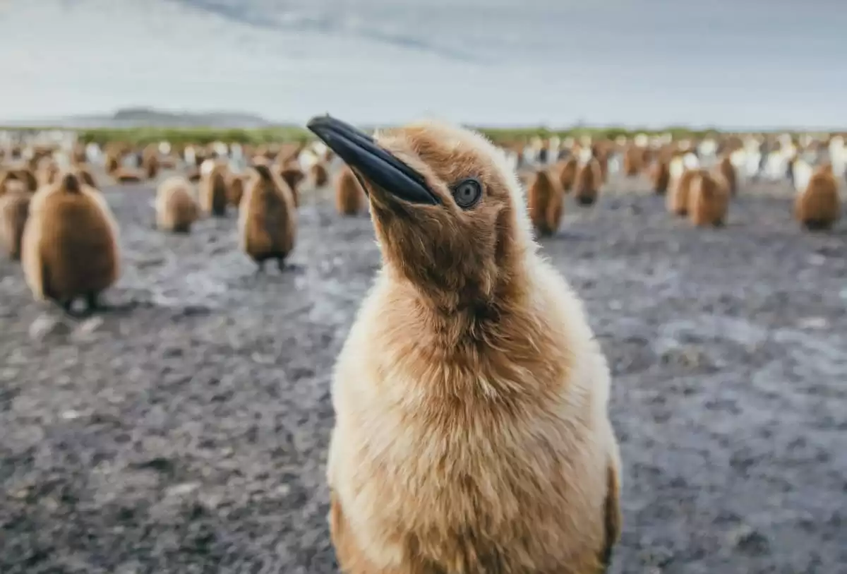 le Ultramarine :  cabine 31