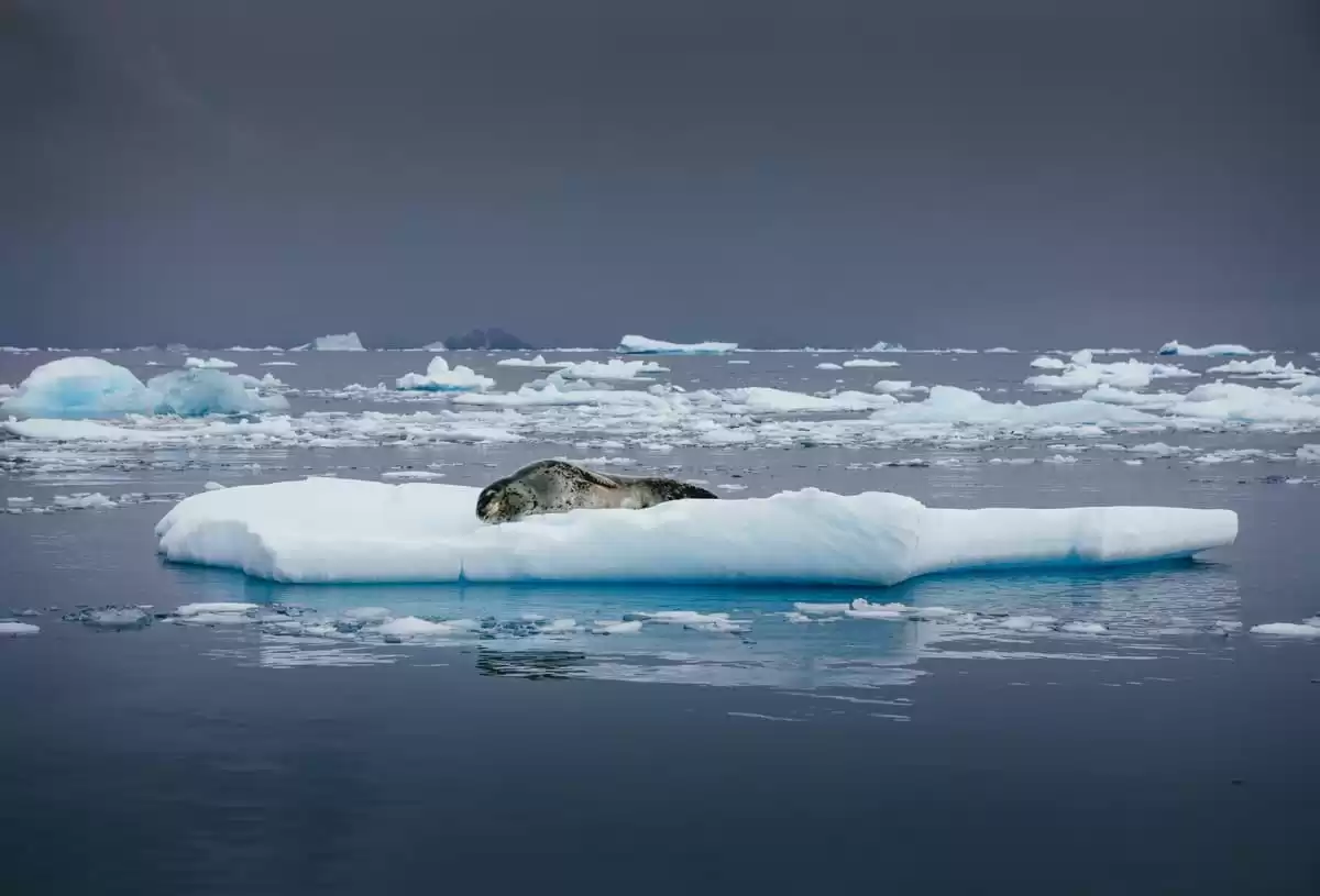 le Ultramarine :  cabine 32