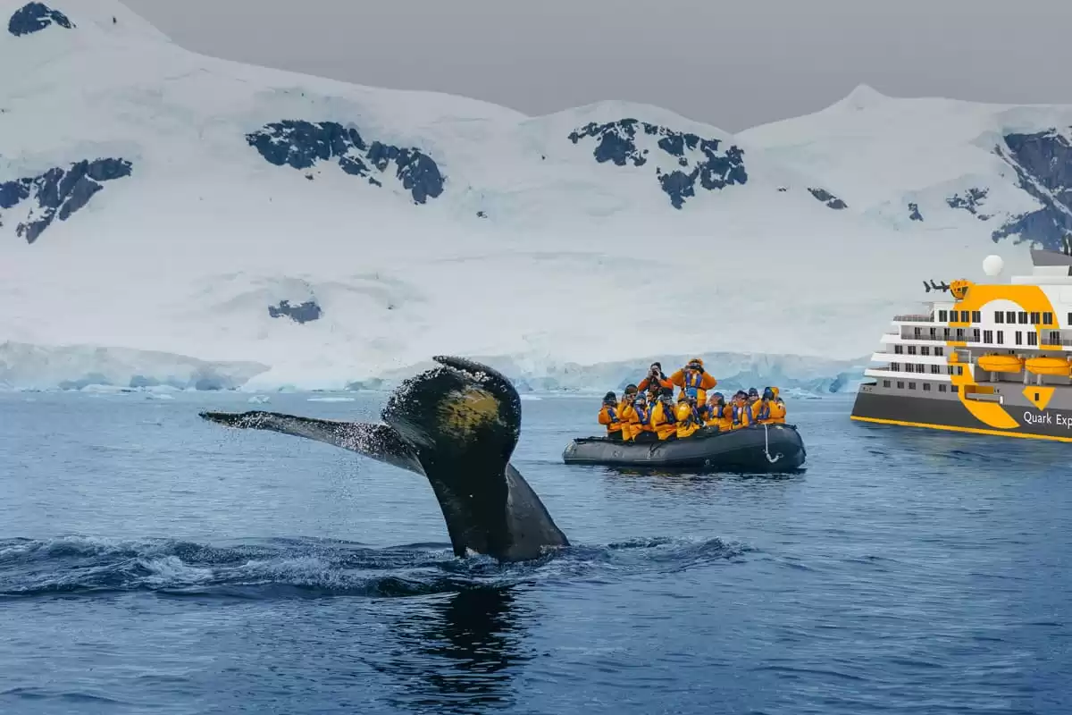 le Ultramarine :  cabine 4