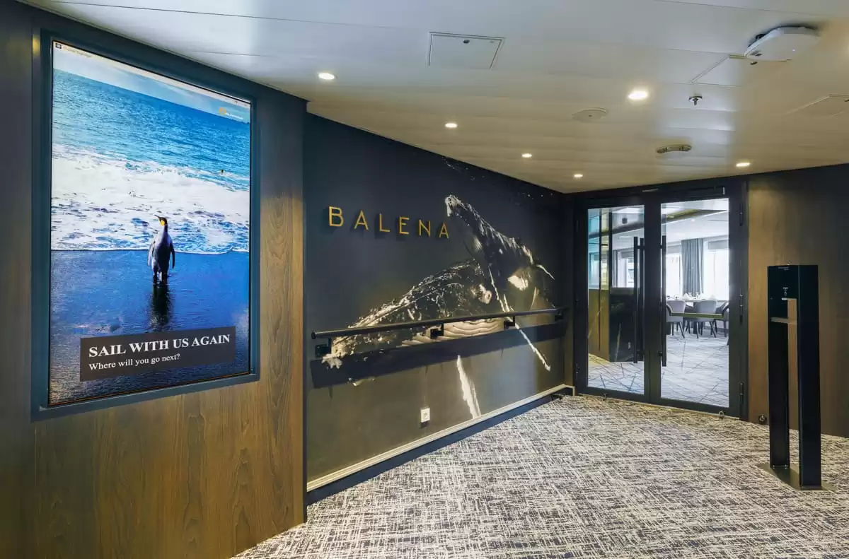 le Ultramarine :  cabine 44