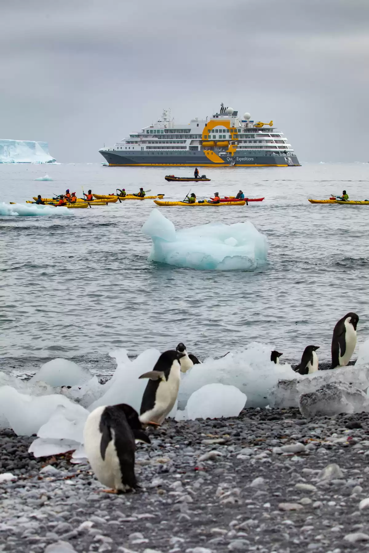 le Ultramarine :  cabine 65