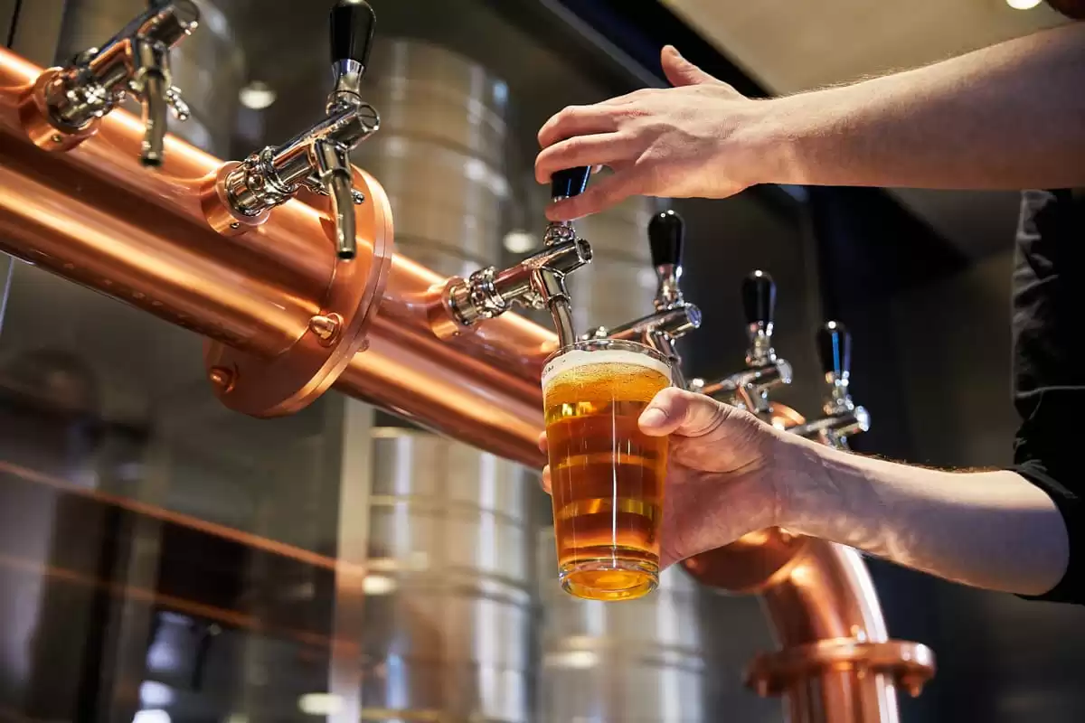 le Resilient Lady :  cabine 29