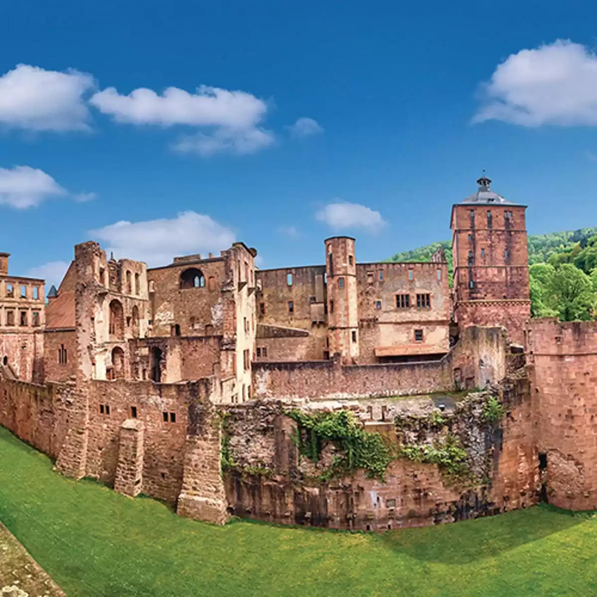 le MS Gerard Schmitter :  cabine 3