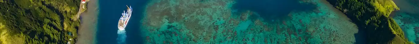 ARANUI
