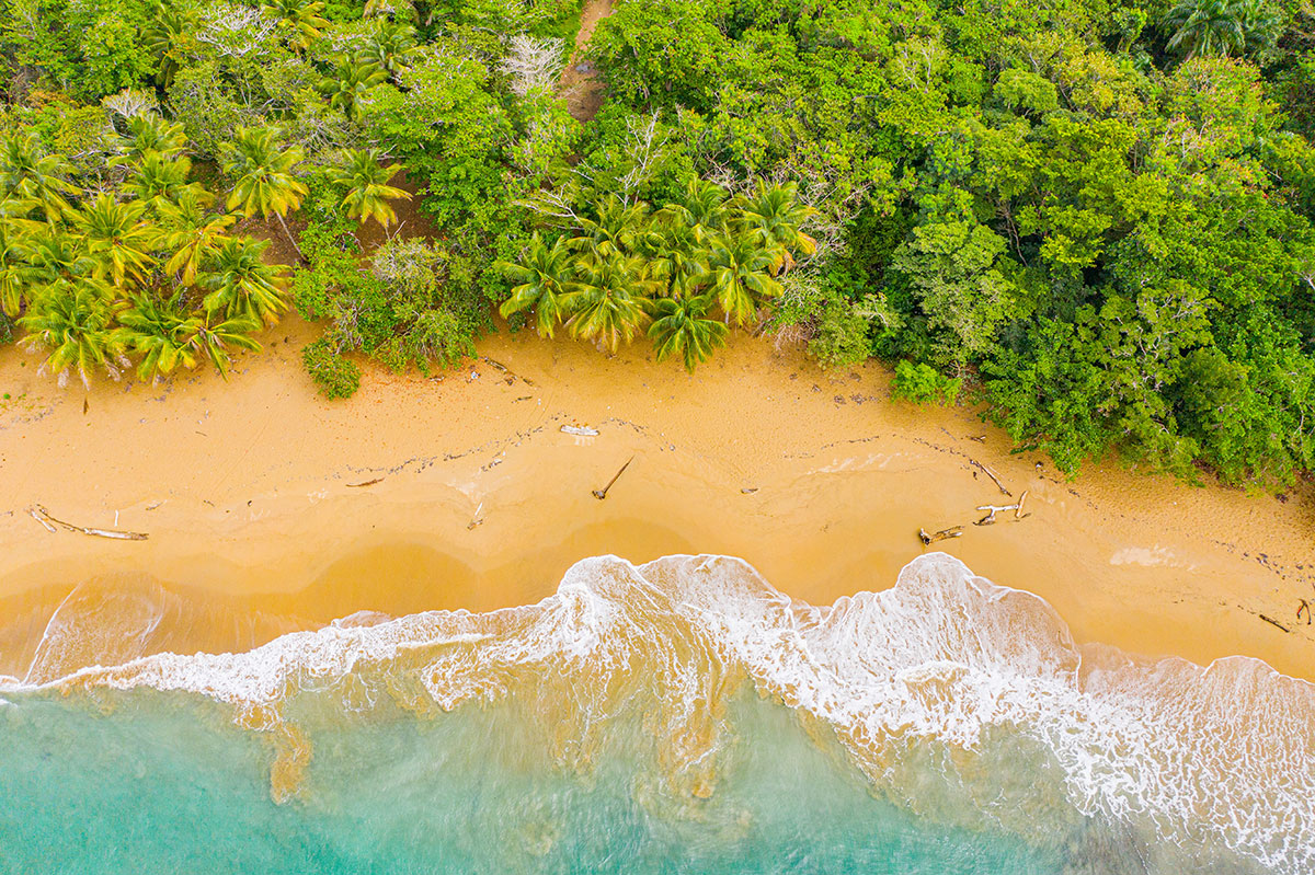 Caraïbes