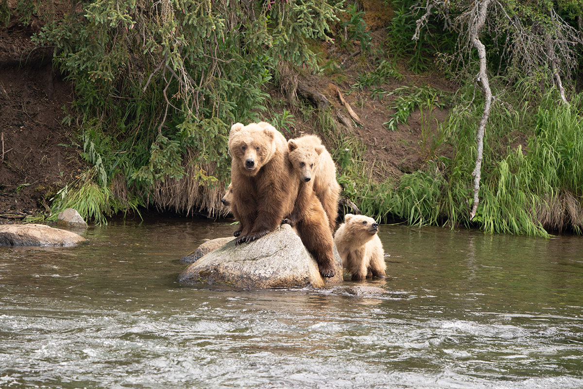 Alaska