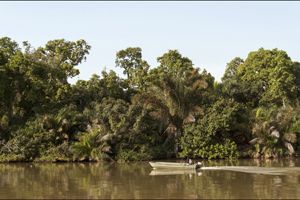 Banjul