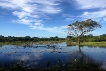 Hambantota