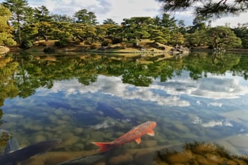 Takamatsu