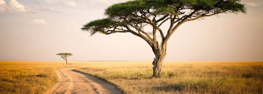 Destinazione Tanzania
