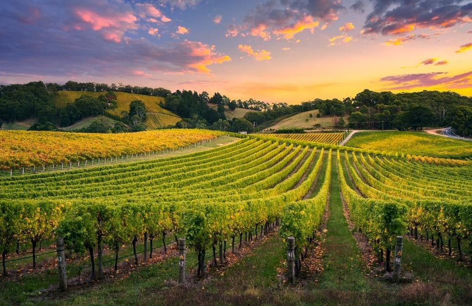 Barossa valley